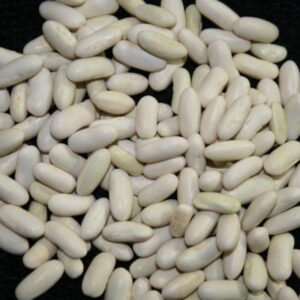 Bush Beans Seed - Image 2