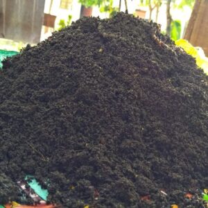 Vermicompost - Image 3